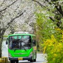 산서초 앞 이미지