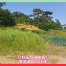 교동면-3 이미지