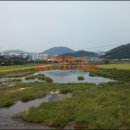 대광판촉 이미지