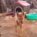 정돌이네 이미지