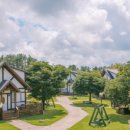 더 포레스트 이미지