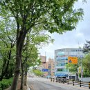 영남공인중개사 앞 횡단보도 | 안전요원 교통지도 받으며 건너는 횡단보도, 그리고 바로 이어지는 공원과 단지 정문