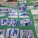 방파제횟집 | 포항 신항만 방파제낚시수퍼 &amp; 코난횟집 솔직한 내돈내산 후기