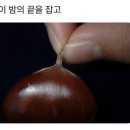 도파밍 이미지