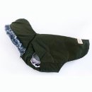 다운애견 이미지