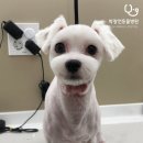 박창언 동물병원 이미지