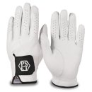 페르시안 캣 이미지