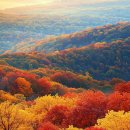 헤라클레스짐(Heracles GYM) | 우주의 중심 태양/숨겨진 여호와의 상세 역사