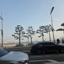 광안4-302 | 광안리 맛집 바다뷰에 취하고, 취하고 녹진한 게내장! 감성가득 "아로하오노"솔찍후기