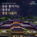 창경궁 야간개장 추천! 서울 어린이 가족 역사 도슨트 체험학습 밤 궁궐 투어 후기
