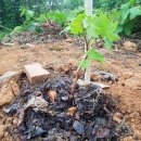 직산농장 이미지