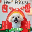 카페헤이 - 동구 대학로 62-19 | 카페헤이