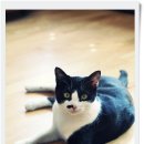덩어리 이미지