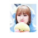 금성프라자(금성빌딩) 이미지