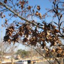 물향기 유치원 이미지