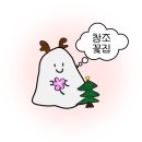 창조꽃집 이미지