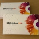 네이처컬렉션반송시장점 | 검사키트 마이헤리티지(MyHeritage) 내돈내산 후기 : 한프커플 조상찾기/한국 주문 배송/국제우편 발송...
