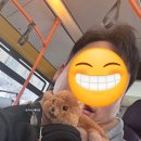 에버랜드 겨울 무민랜드 로우시즌 눈오는날 후기