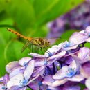 백현Se동물병원 이미지