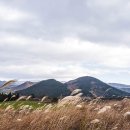 달리오름 이미지