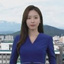 제주도청 디지털타임스
