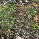 강회농장 이미지