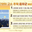 24시알파동물메디컬센터 이미지