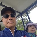 전남 신안군 안좌면 퍼플섬 반월도~박지도 라벤더+옥도 작약 꽃 축제장 탐방/2026.5.22.금 이미지