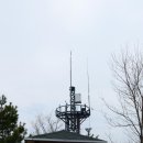 익산대로 이미지