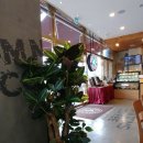 탐앤탐스 배방점 이미지