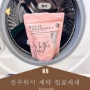향이좋은친환경용품(1~3학년) | 유튜버 디렉트파이 추천템 아이와 함께쓰는 블루워시 캡슐세제 친환경세제추천
