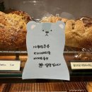 홀브라운대구 네이버블로그
