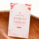 사랑꽃가득