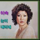이*숙 Daum카페