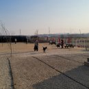 워킹애니멀스쿨 이미지