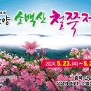 헬로 단양