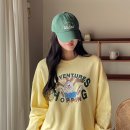 핑크 이미지