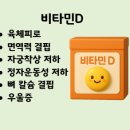 365비타민약국 이미지