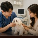 올치동물병원 네이버블로그