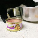 (주)바스콘텍 이미지