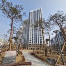 중촌초등학교(건너편) 이미지