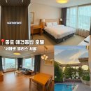 율곡로 | [서울] 종로 서머셋 팰리스 서울 애견동반 솔직 후기 / 서울 애견동반 호텔 / 아쉬웠던 서머셋 팰리스...