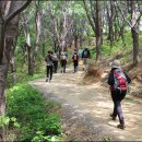 바우길 14구간 이미지