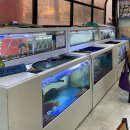 기동이네해장국 | [광주] 봉선동 ’기동이네 해장국‘ 하모샤브샤브 찐 후기