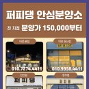 퍼피댕 강아지분양 안심분양소 청주점 말티푸미니비숑토이푸들 이미지