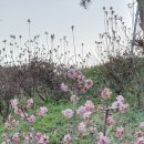 산수골황토방 이미지