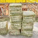 희재농장 이미지