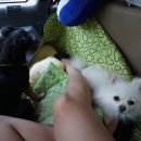 프렌즈하우스펜션 이미지