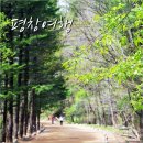 진부(오대산)역 이미지