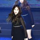신비체육관 마이데일리